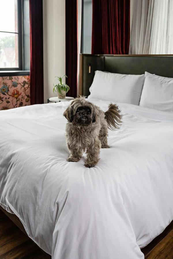 The Broadview Hotel Торонто Экстерьер фото